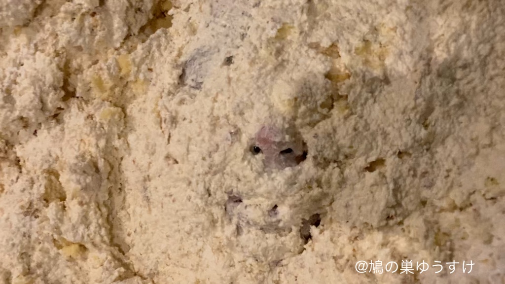 ケーキ遊び vol.3