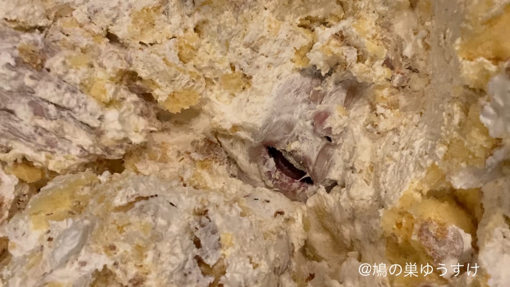 ケーキ遊び vol.3