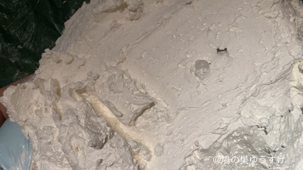 生クリーム遊び vol.20