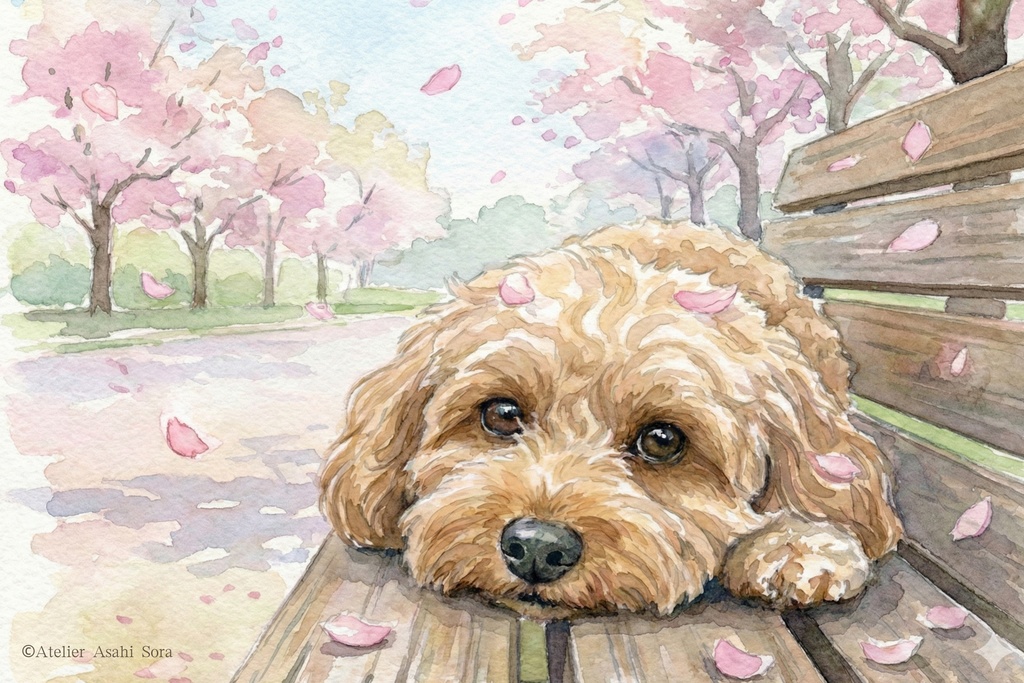 【春の陽だまり】桜舞うベンチとレオ
