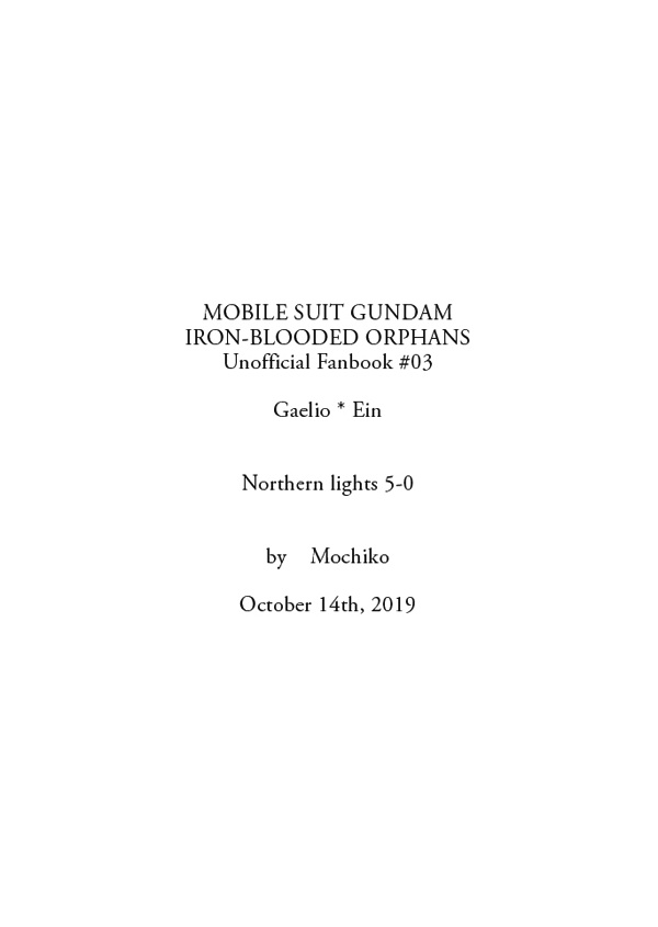 【匿名配送】ノーザンライツ・ファイブ・オー