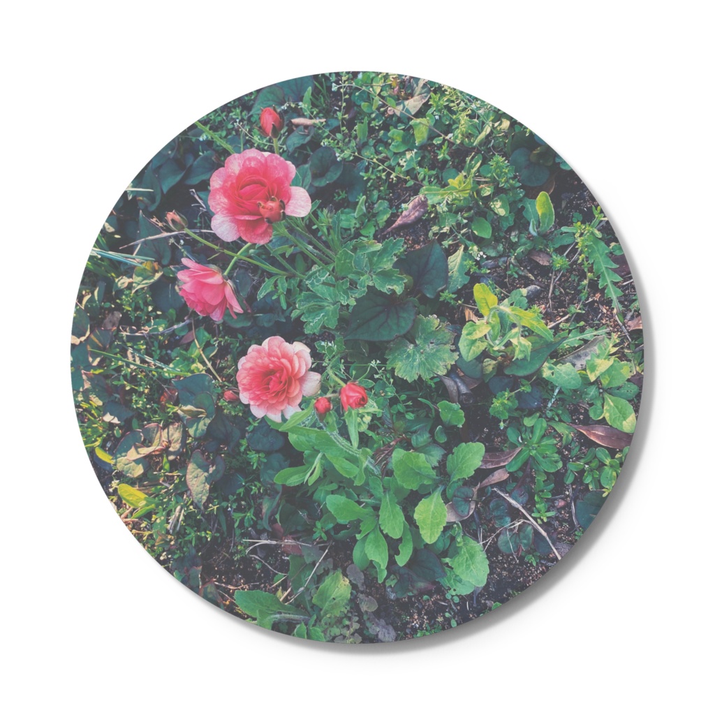 緑と赤ピンクのお花