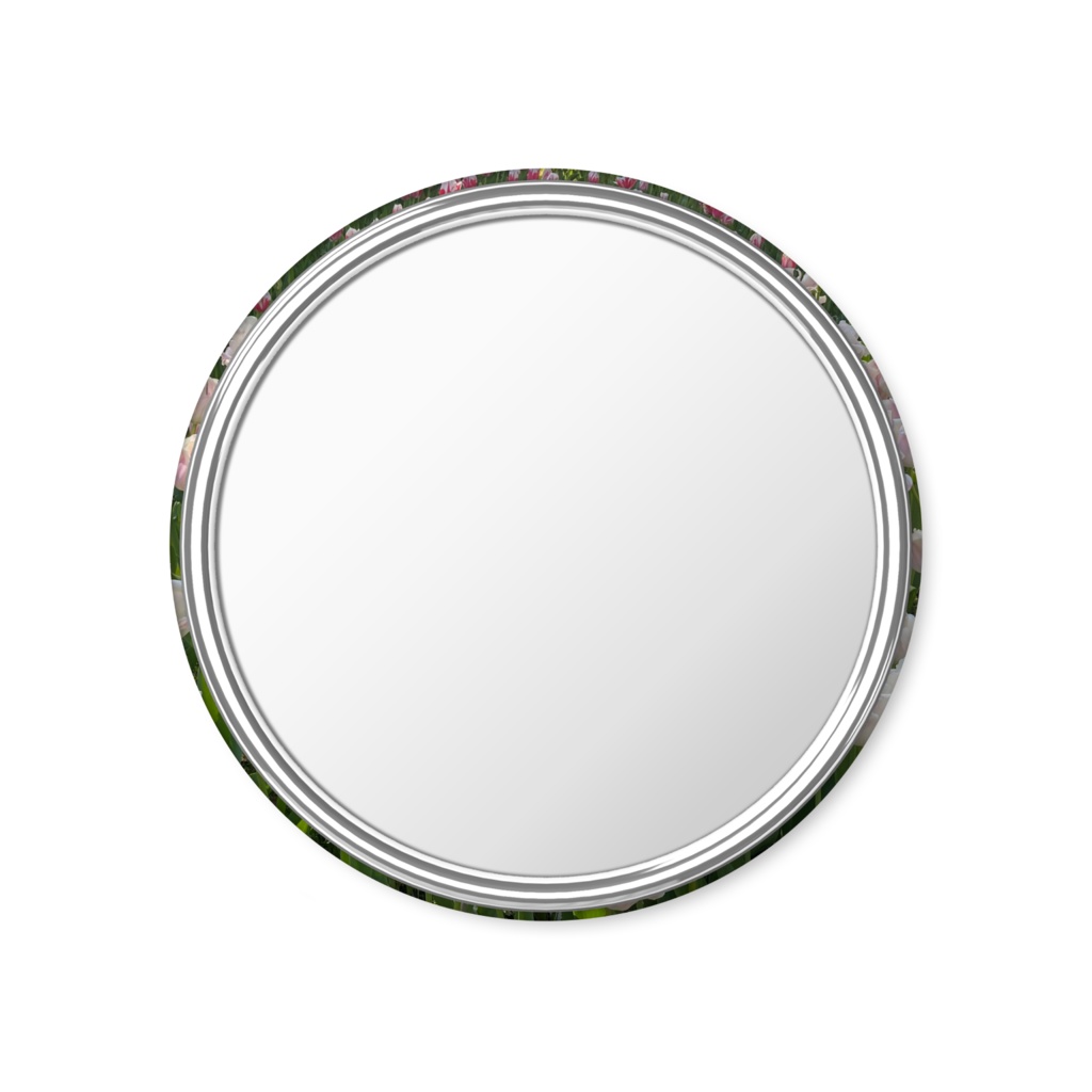 チューリップたち