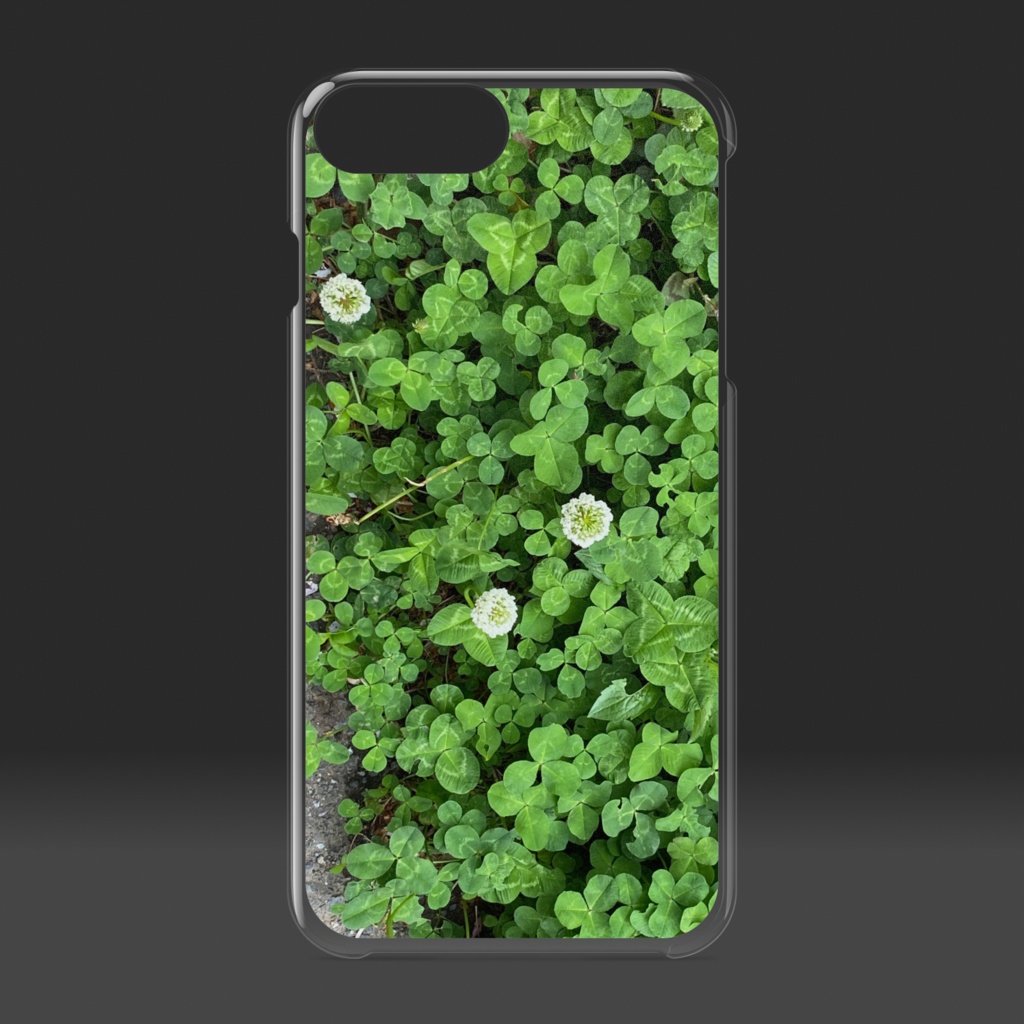 バリエーションズ