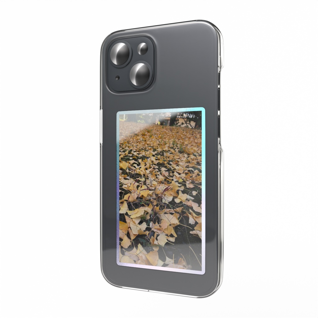 イチョウの絨毯