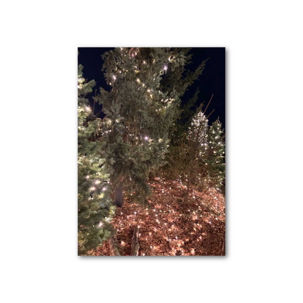 クリスマスツリーイルミ