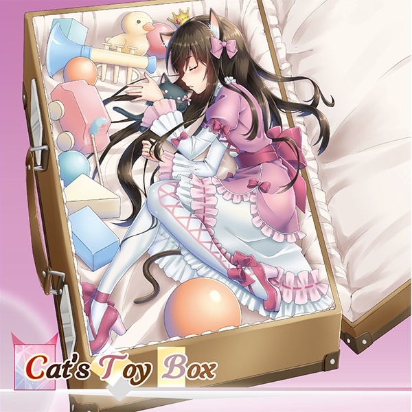 Cat's Toy Box