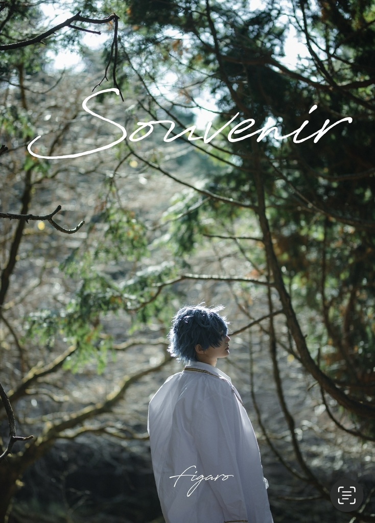Souvenir -Figaro-
