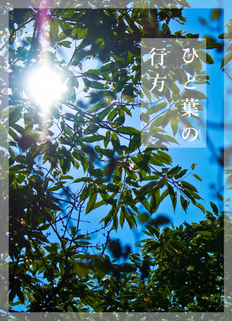 ひと葉の行方