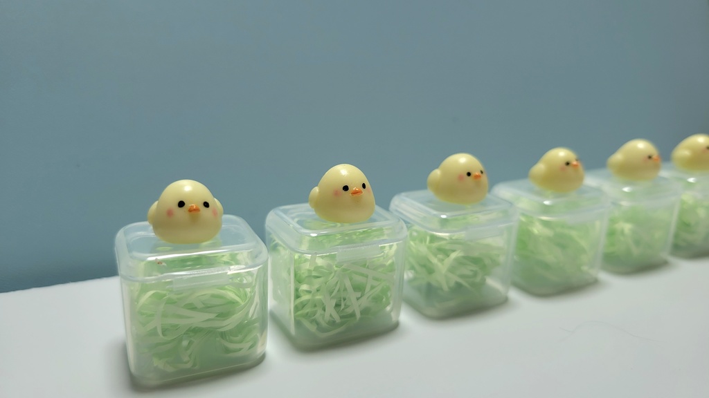 ひよこちゃん🐤