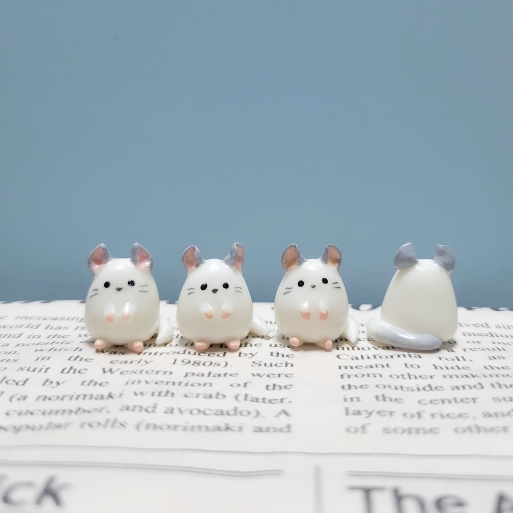 チンチラさん🐭