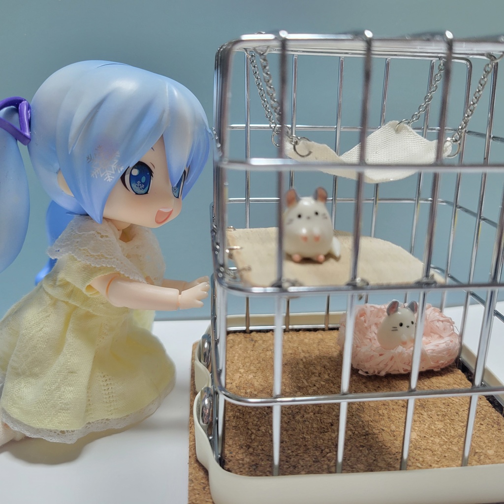 チンチラさん🐭