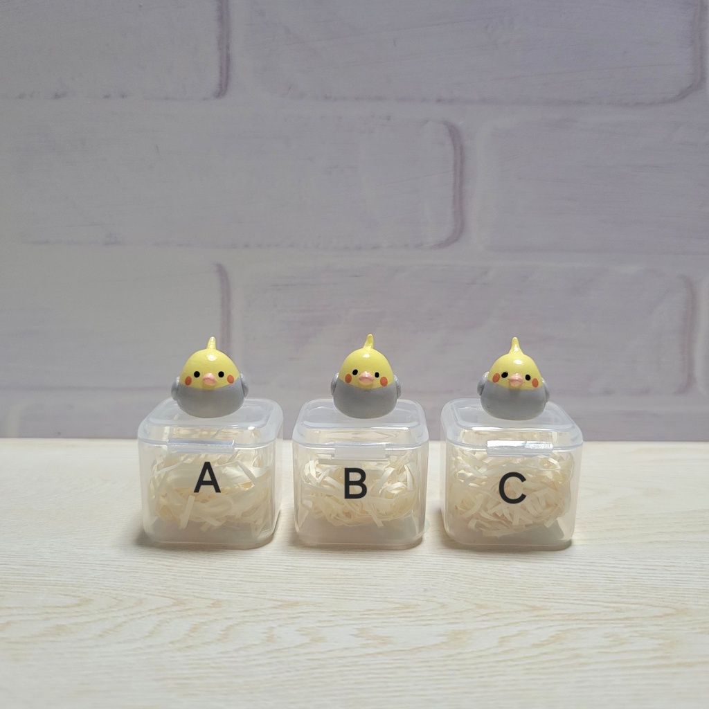 オカメインコちゃん🦜(2種)