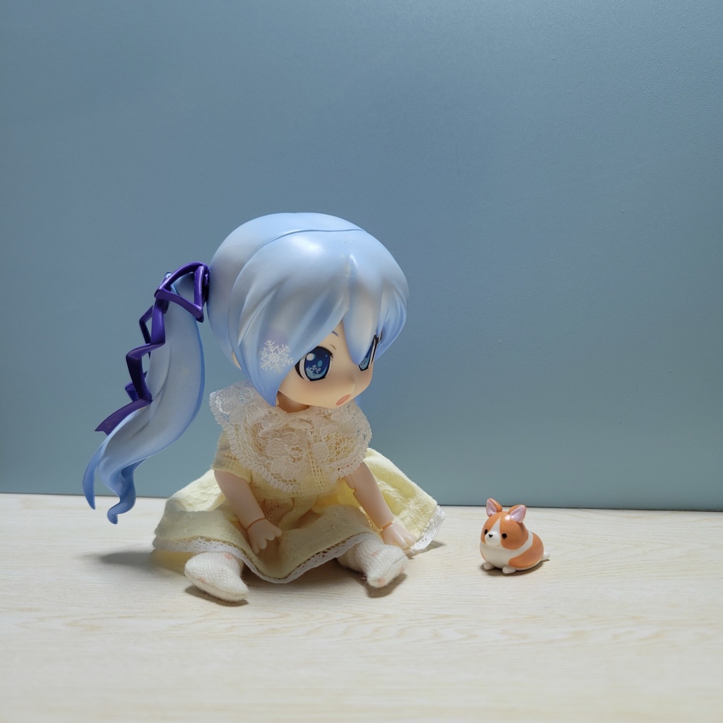 コーギー