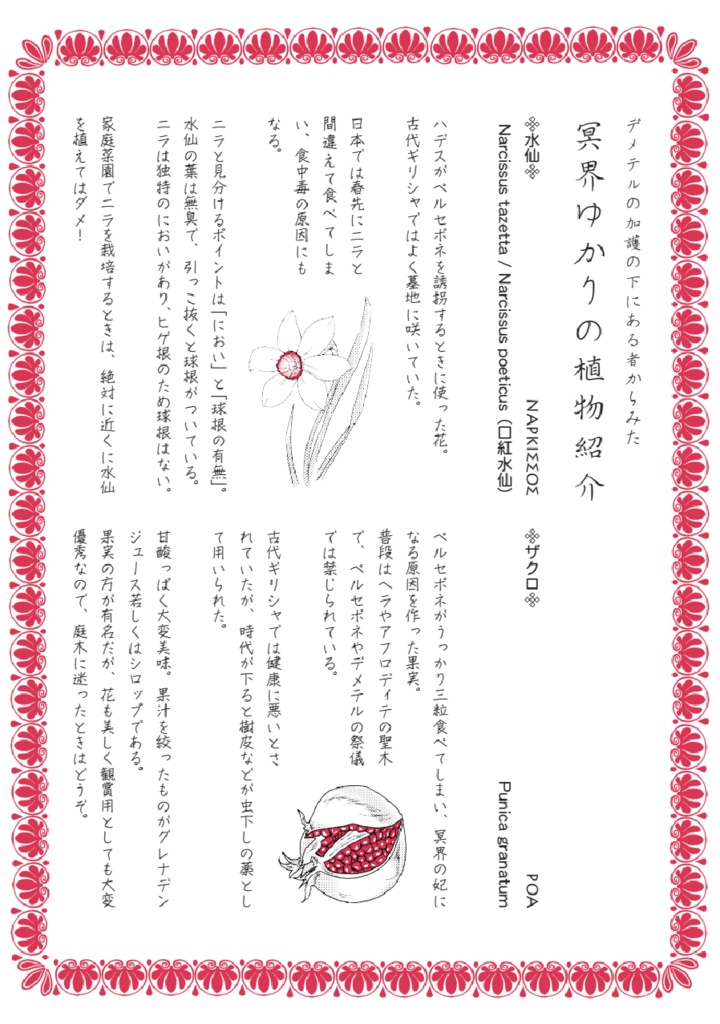 パンフレット+記念アンソロジー【古代ギリシャナイトΕ<ハデス冥界祭>】