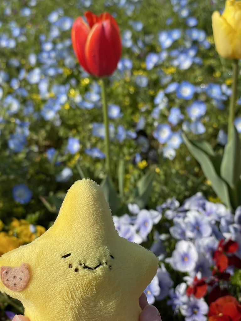 もぐもぐ星のぬいぐるみ2種