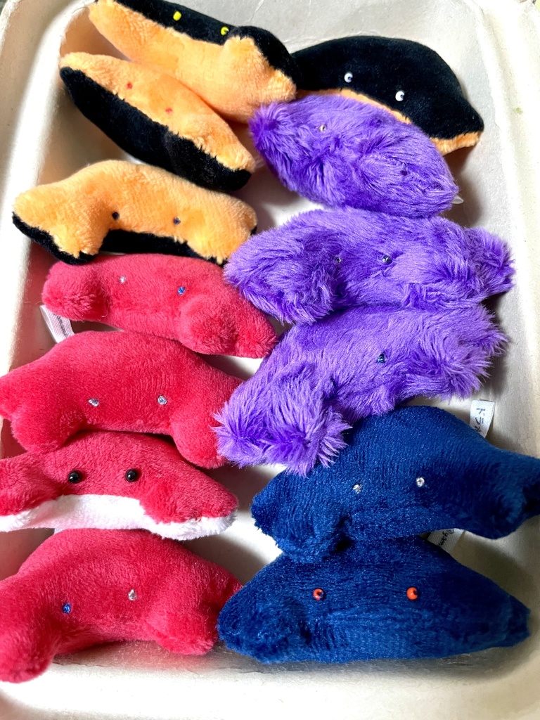 🦀ミニ蟹ガチャ第4弾🦀
