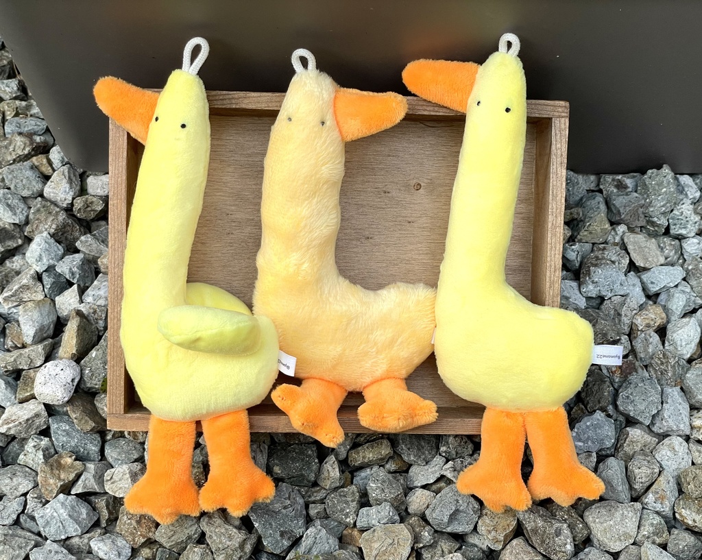🐥鳥達⑤種類🐥