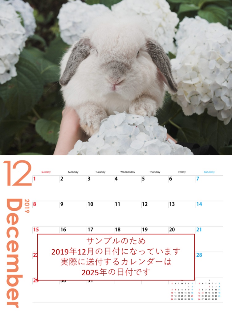 チャリティラビットカレンダー2025