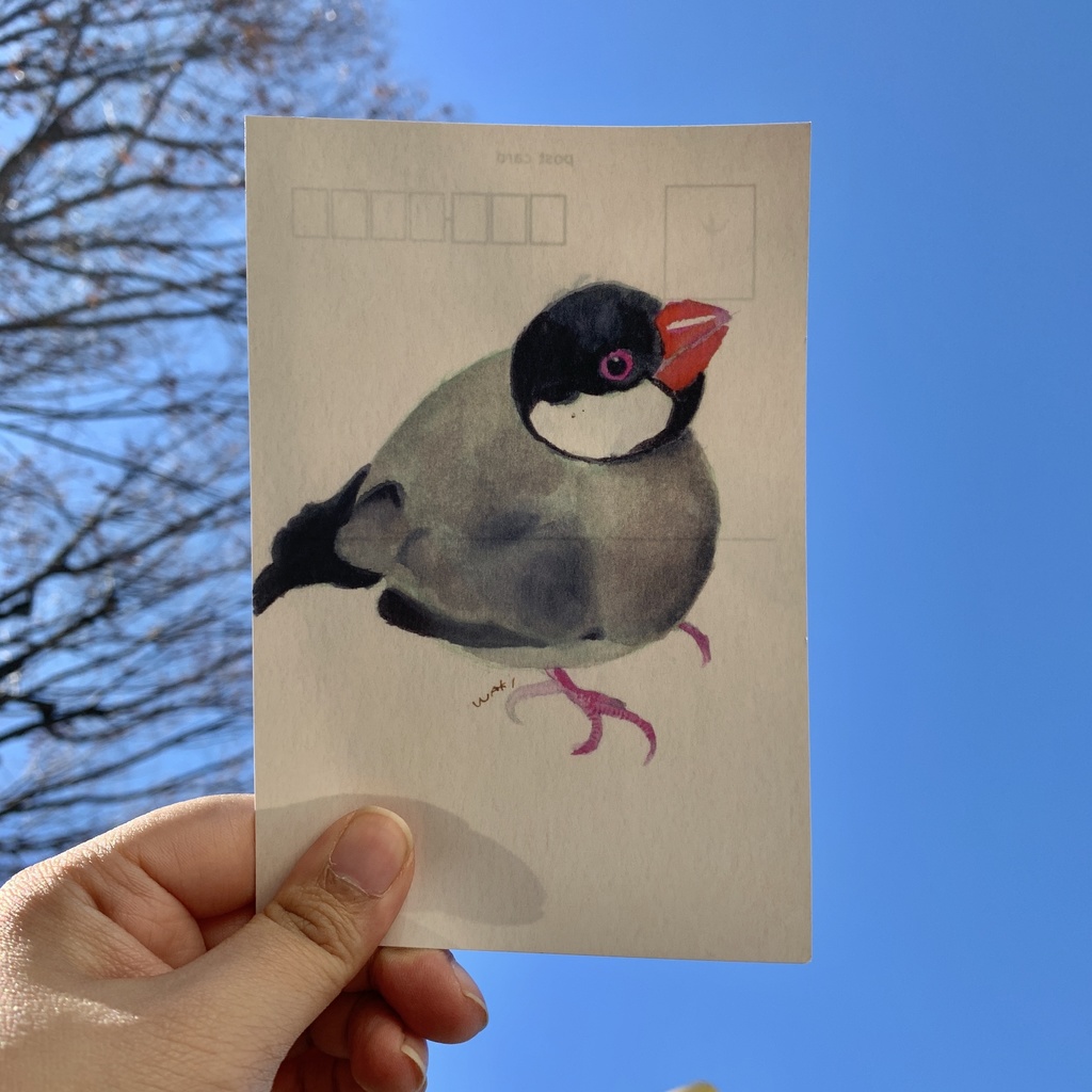 文鳥さんのポストカード