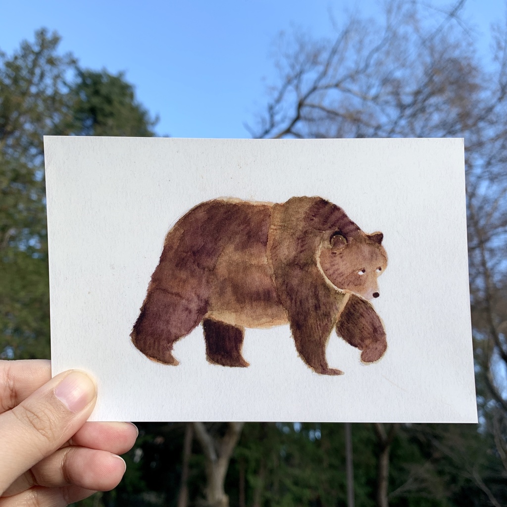 気弱なクマのポストカード