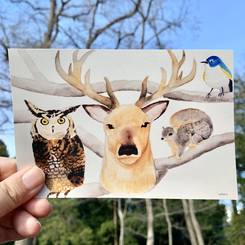 森と動物のポストカード