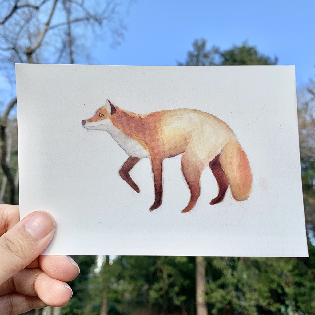 狐のポストカード