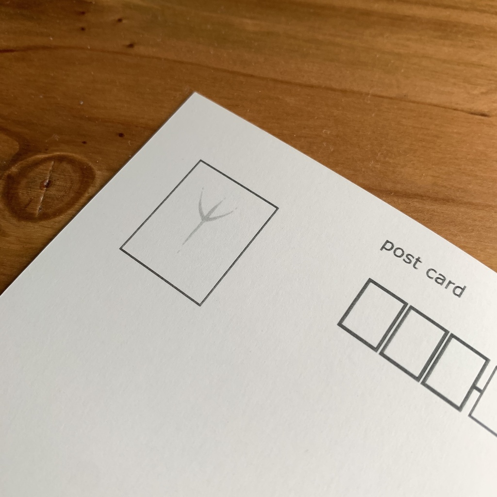 鳥たちのポストカードセット