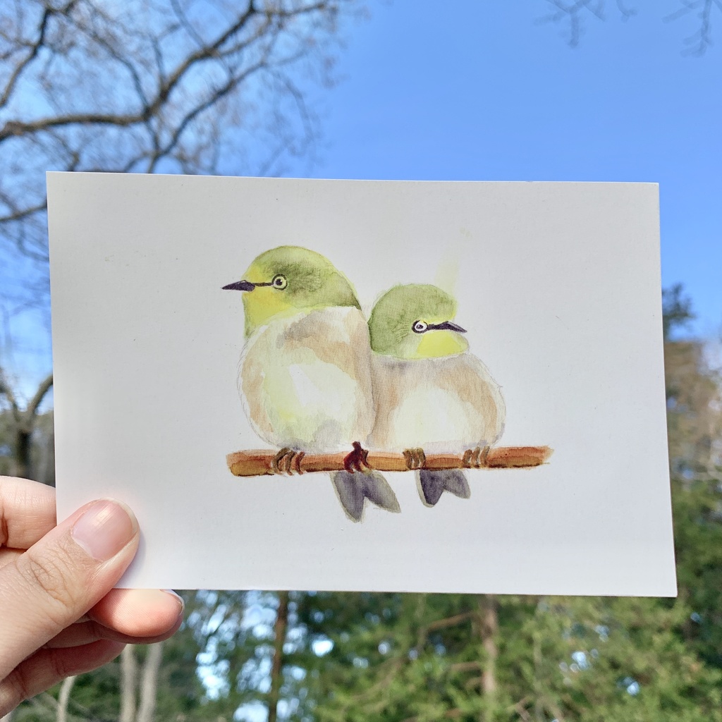 鳥たちのポストカードセット