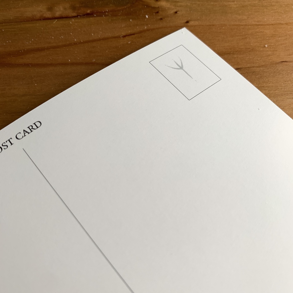鳥たちのポストカードセット