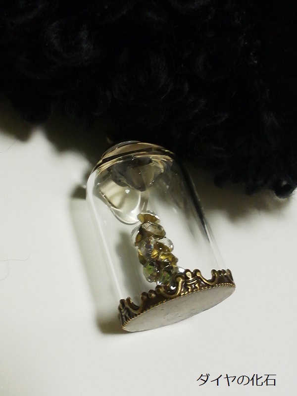 ダイヤの化石