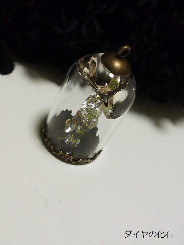 ダイヤの化石
