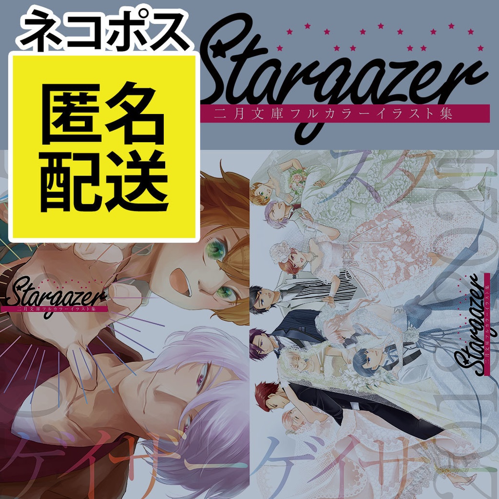 【ネコポス】Stargazer