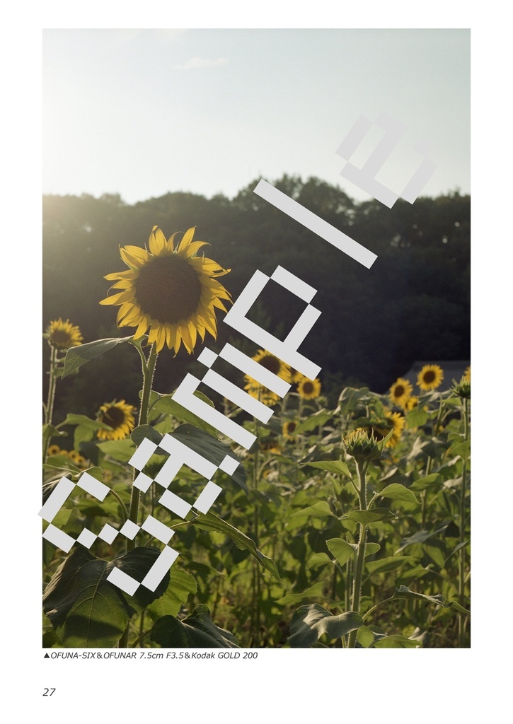 Aires Camera Vol.Ⅸ