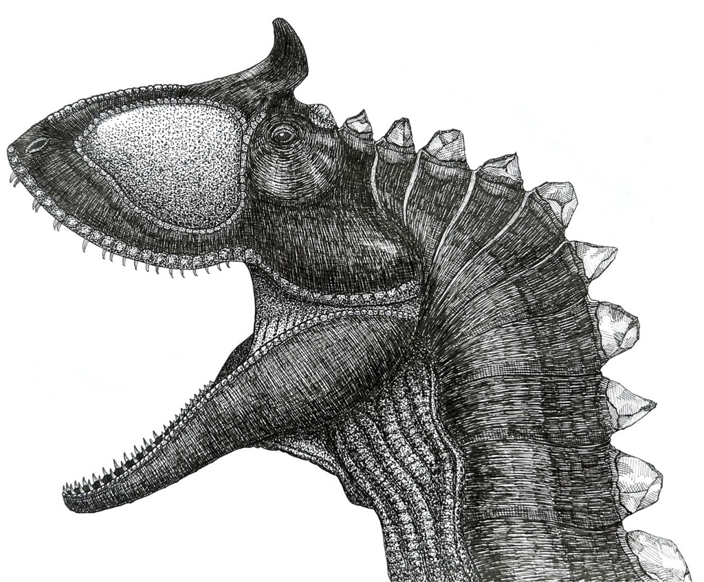 クリオロフォサウルスステッカー