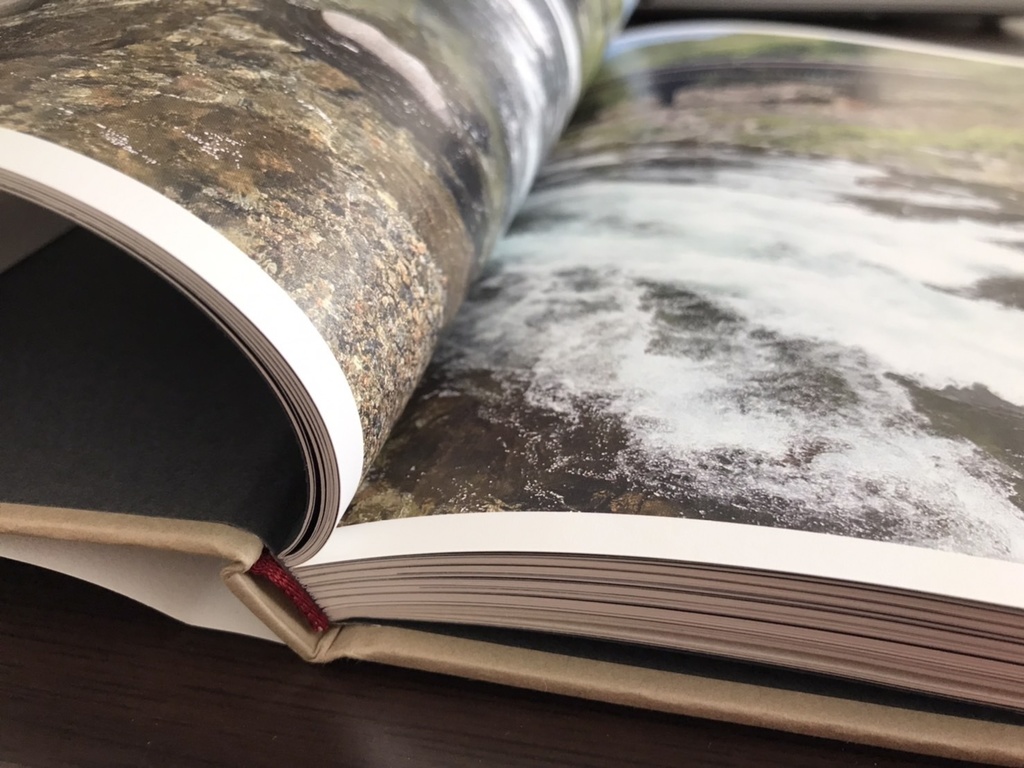 85diary キハ85系写真集