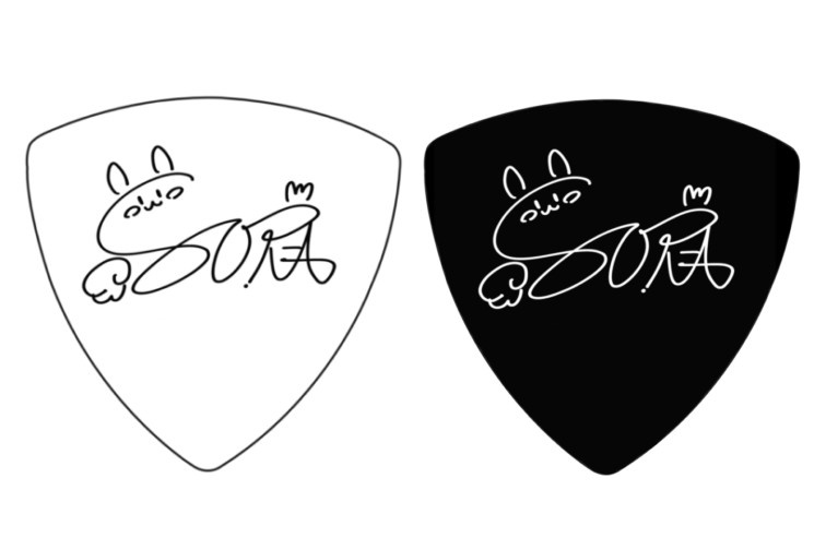 ピック2枚セット 第1弾