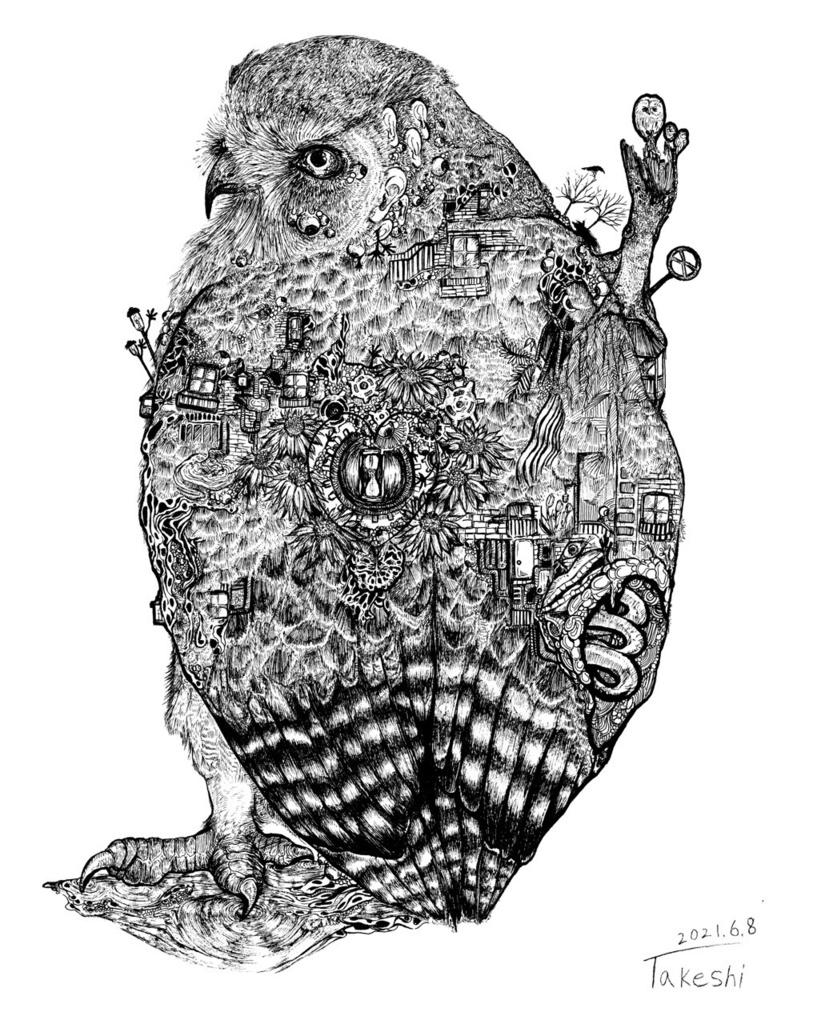 シマフクロウ クリアファイル-A4