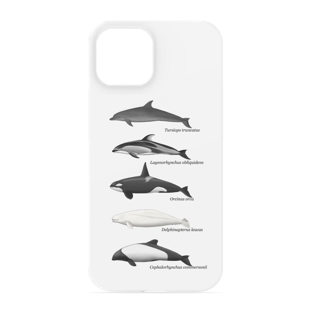 鯨類iPhoneケース（ iPhone 13 ）