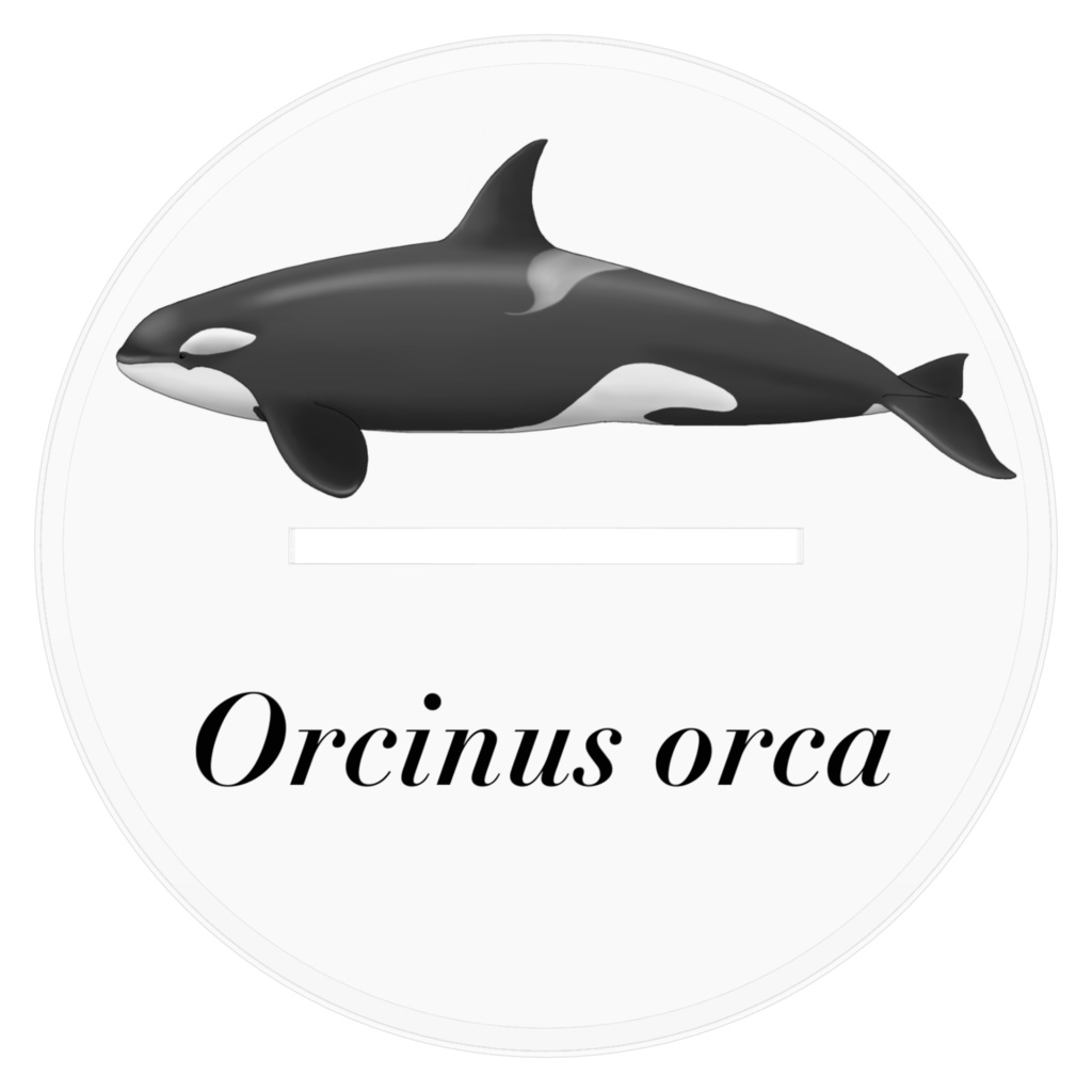 シャチちゃんアクスタ