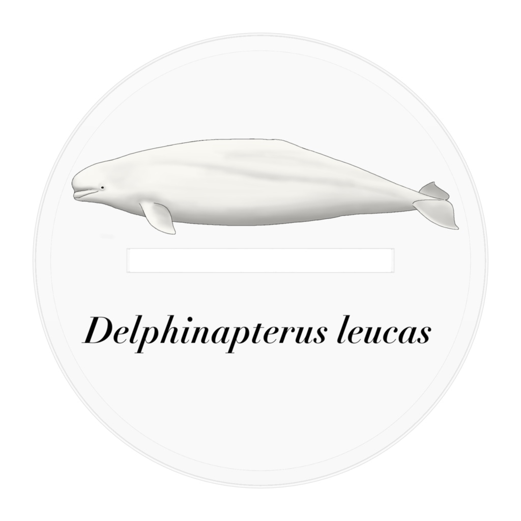 シロイルカちゃんアクスタ