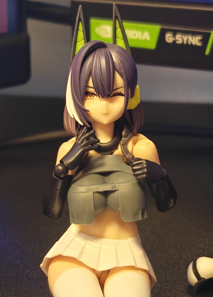メガミデバイス ユグドラシルシリーズ用胸部パーツ(仮)