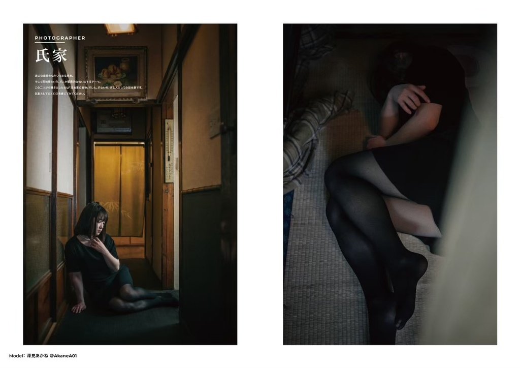 エイチ展 × 団地妻 『#団地妻展』 合同写真集