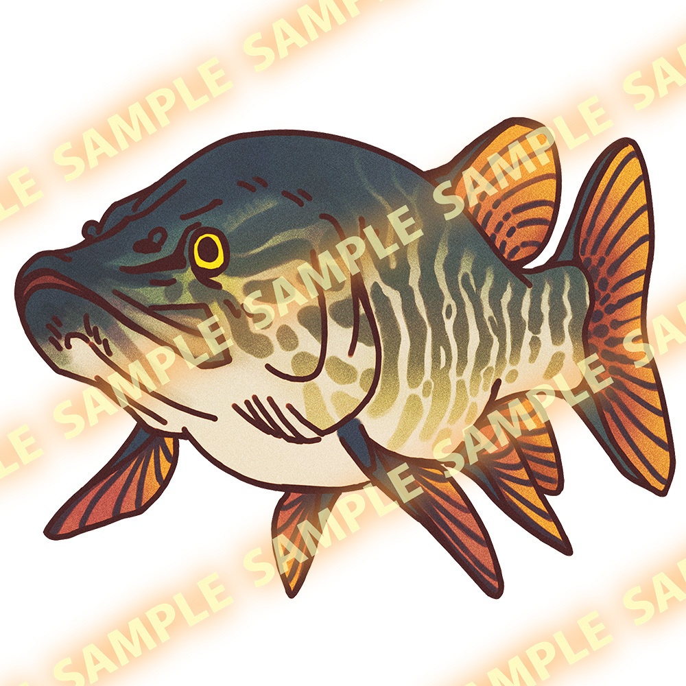 The Tiger Muskie