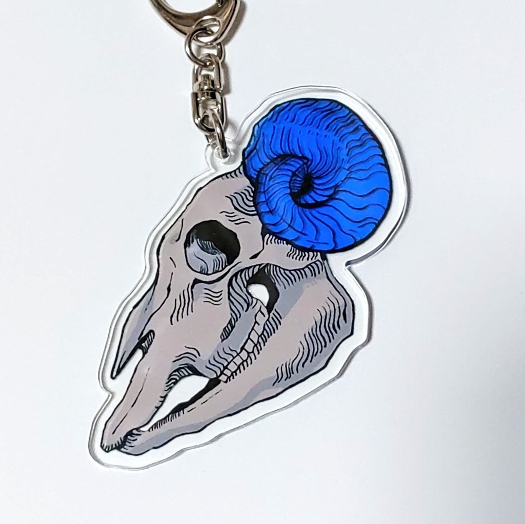 カウントテン概念アクキー