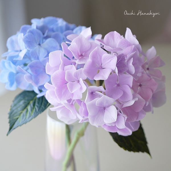 あじさいのベイナー Hydrangea Veiner 3個セット シリコンモールド、押し型、粘土用花脈