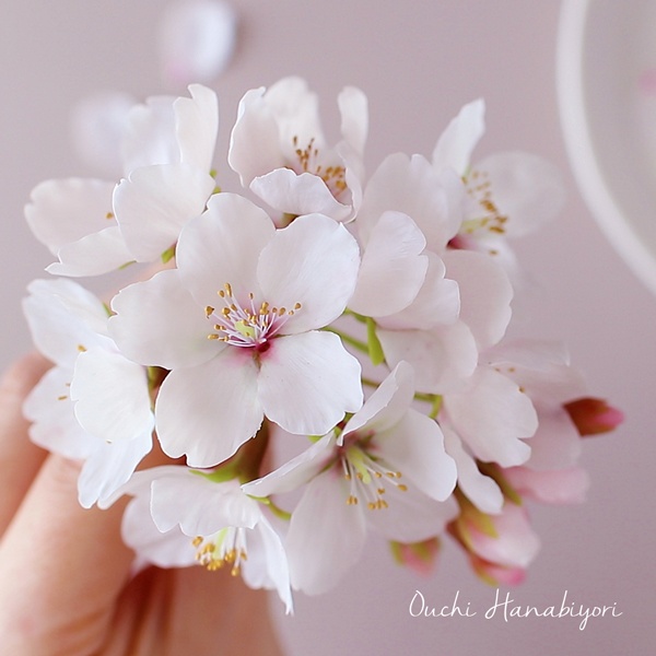 桜の花びらカッター Clay Cutter Sakura 3サイズセット