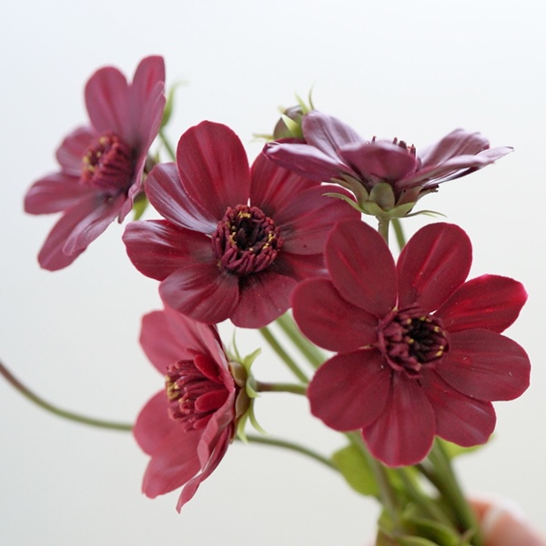 チョコレートコスモス&リーフクレイカッターChocolate cosmos & Leaf