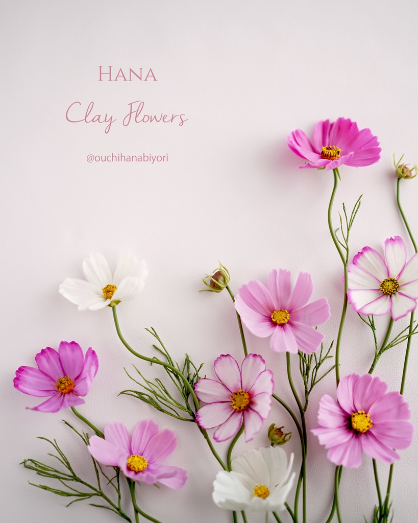 コスモスのクレイカッター4種セット Cosmos Clay Cutter