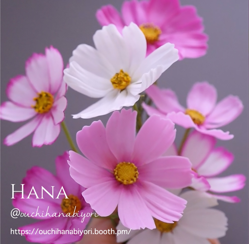 コスモスのクレイカッター4種セット Cosmos Clay Cutter